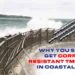 Why You Should Get Corrosion-Resistant TMT Bars In Coastal Areas?